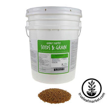Load image into Gallery viewer, Spelt (organic) - Bulk Grains & Foods