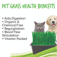 Load image into Gallery viewer, Cat Grass Seeds - Seed Blend (Organic)