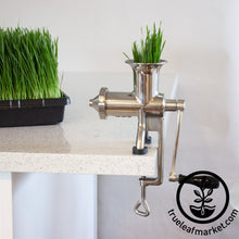 Load image into Gallery viewer, FALSE