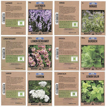 Load image into Gallery viewer, Medicinal Herb Seed Assortment