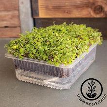 Load image into Gallery viewer, Self-Watering Growing Trays
