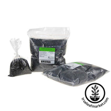 Load image into Gallery viewer, Sunflower - Black (organic) - Sprouting Seeds