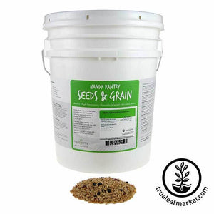 Biblical Bread Grain Mix (organic) - Bulk Grains & Foods