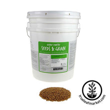 Load image into Gallery viewer, Triticale (organic) - Bulk Grain &amp; Foods
