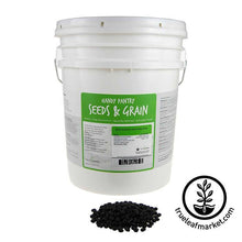 Load image into Gallery viewer, Soybean - Black (organic) - Sprouting Seeds
