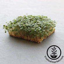 Load image into Gallery viewer, Seed Assortment: Basic Dozen Microgreens
