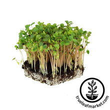 Load image into Gallery viewer, Seed Assortment: Microgreen Seeds - Soil Selection
