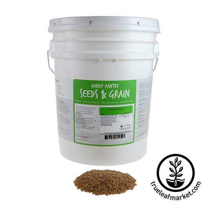 Wheat - Hard Red Winter (organic) - Sprouting Seeds