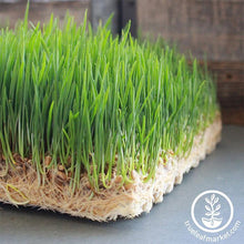 Load image into Gallery viewer, Jute Microgreens Grow Mats - Roll
