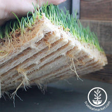 Load image into Gallery viewer, Jute Microgreens Grow Mats - 10x10
