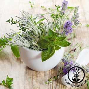 Medicinal Herb Seed Assortment