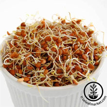 Load image into Gallery viewer, Lentils - Red (organic) - Sprouting Seeds
