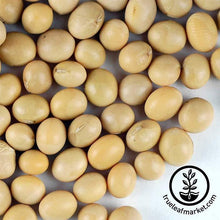 Load image into Gallery viewer, Soymilk &amp; Tofu Making Kit with 5 Lbs Soybeans
